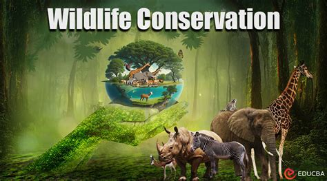 Saving Wildlife and Wild Places .